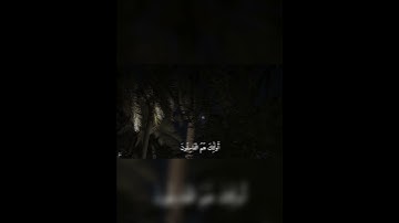ماتيسر من القران الكريم 🤎🤎💐 #اكسبلور #قران_كريم #قرآن #قرآن_كريم #quran