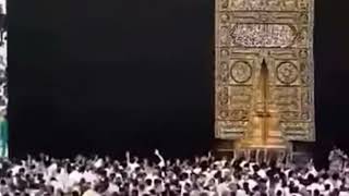 কাবা শরীফের তাওয়াফ, Tawaf of Kaaba Sharif shortvideo kaaba macca tawaf