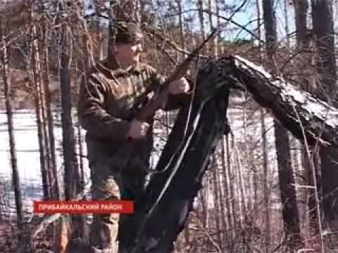 От частной охоты к туристскому промыслу