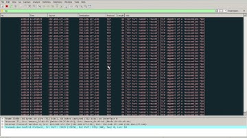 demo DoS with TCP-SYN FLOOD