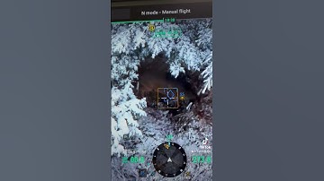 Thermal Drone Finds Deer Under Impossibly Thick Pine Trees #dji #drone #dronedeerrecovery #deer