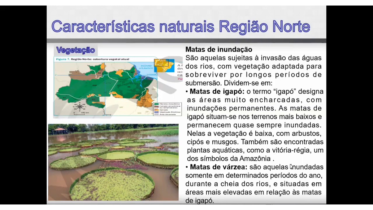 Curiosidade Sobre O Norte - NAZAEDU