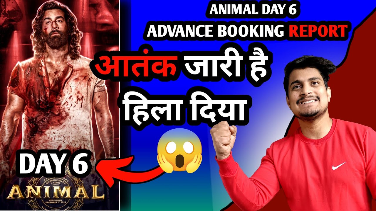 Animal Movie Day 6 Advance Booking Report | Animal Day 6 Box Office Collection 