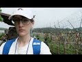 Peeking into North Korea