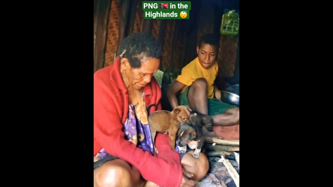 Village Life in the Highlands of Papua New Guinea 🇵🇬 | Real & Raw