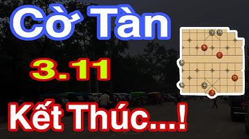 Cảnh Sát Cấm - Ngày Tàn Youtuber - Kết Thúc Hiện Tượng #dungmapvlog #dungtocdaitv #thichminhtue 