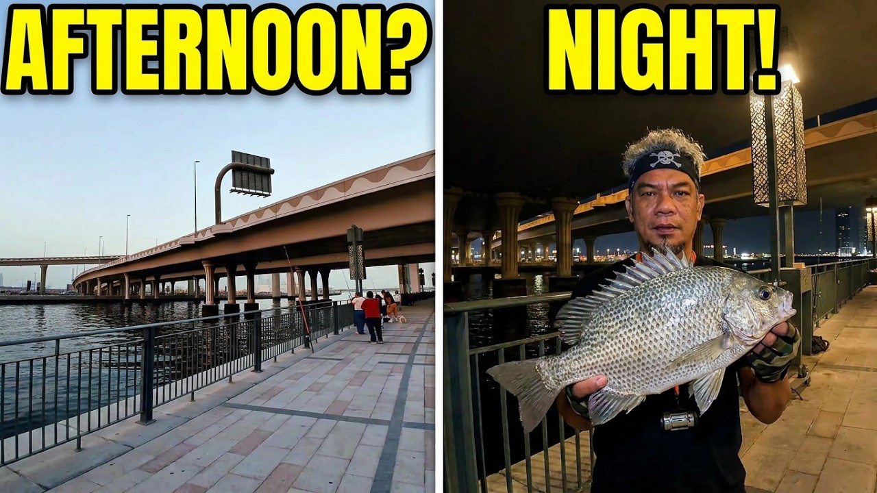 🎣 Is Afternoon or Night Best for Fishing? (The Ultimate Showdown)