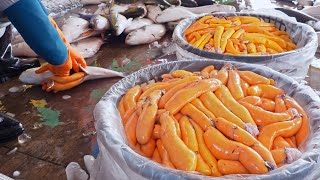 Amazing Mullet Cutting Skills！Fish Roe Making, Grilled Mullet Roe / 驚人的烏魚瀑布！烏魚子製作, 烏魚子一口吃, 烏魚米粉湯