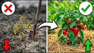 This Lazy Gardening Method Grew More Food With LESS Work