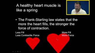 Frank Starling Law Of Contractility
