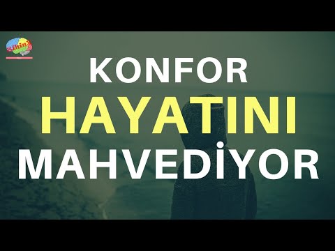 Video: Konfor Neden Hayatınızı Mahveder?