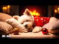 24 Hours of Relaxing Music🐶🎅Deep Sleep Puppy Calm Music🐶🎵Dog Separation Anxiety Music #dogmusic