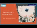 OSVALDO MONTEIRO - A Transição e a Geração Nova