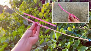 How To Make Sound For Small Kite