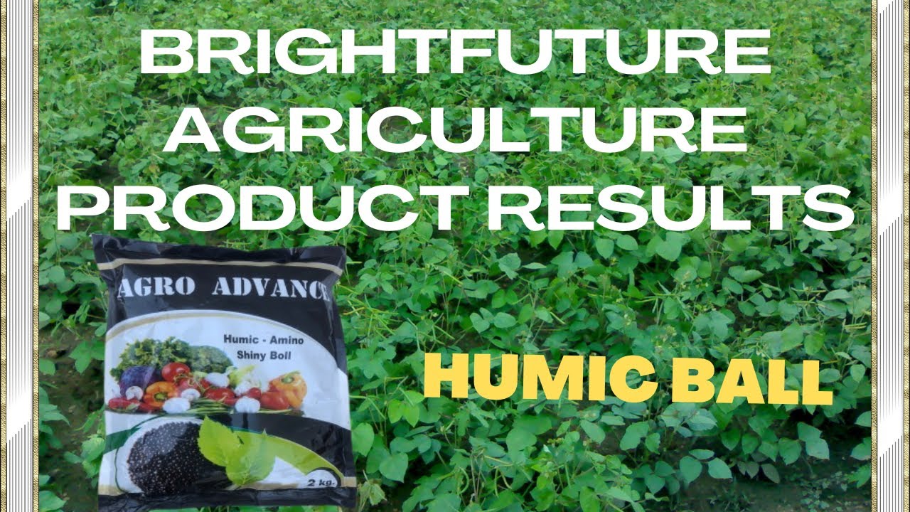 BRIGHTFUTURE HUMIC BALL BEST RESULTS IN AGRICULTURE