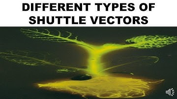 DIFFERENT TYPES OF SHUTTLE VECTORS