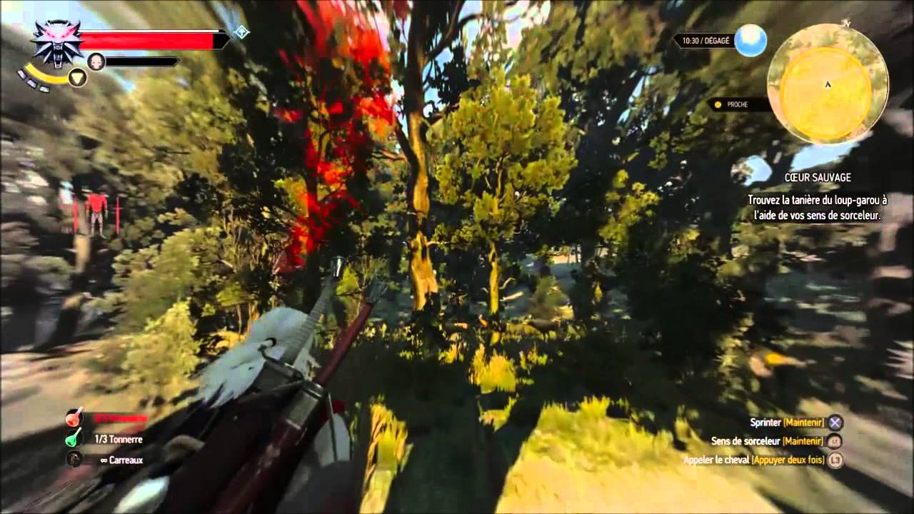 Coeur Sauvage The Witcher 3
