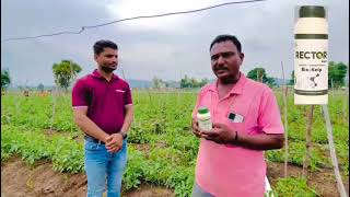 Rector Green Naav Ek Kaaam Anek