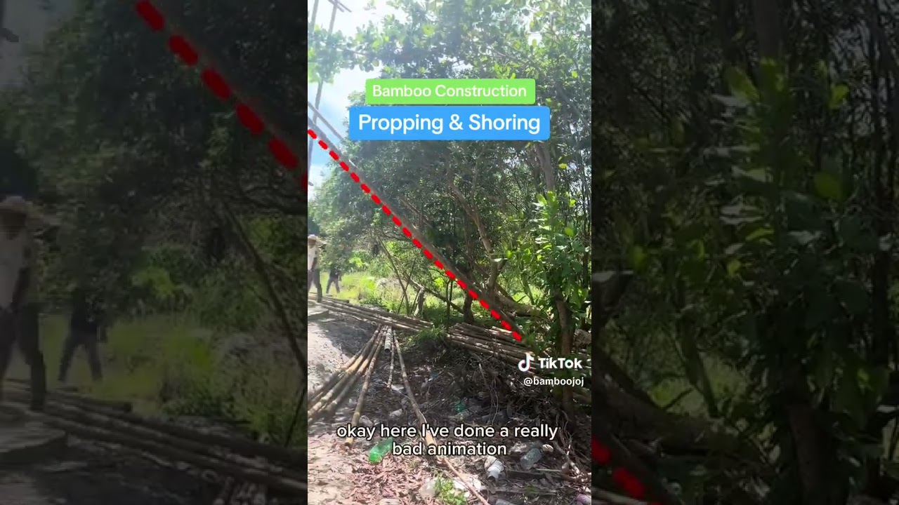 Propping & Shoring : Bamboo Construction