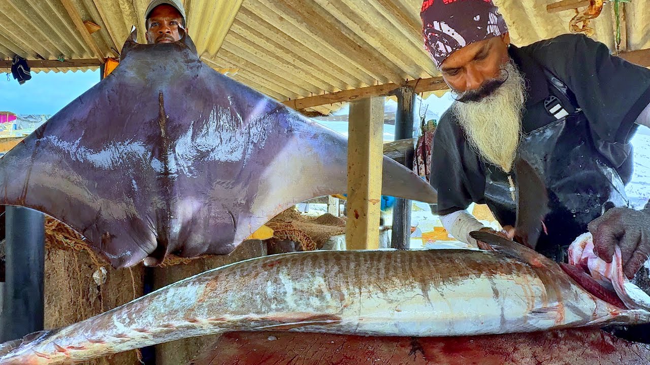 Shivan Fish Mr. Suresh Legendary Shifu | Amazing Huge Fish Cutting Show in Street ...