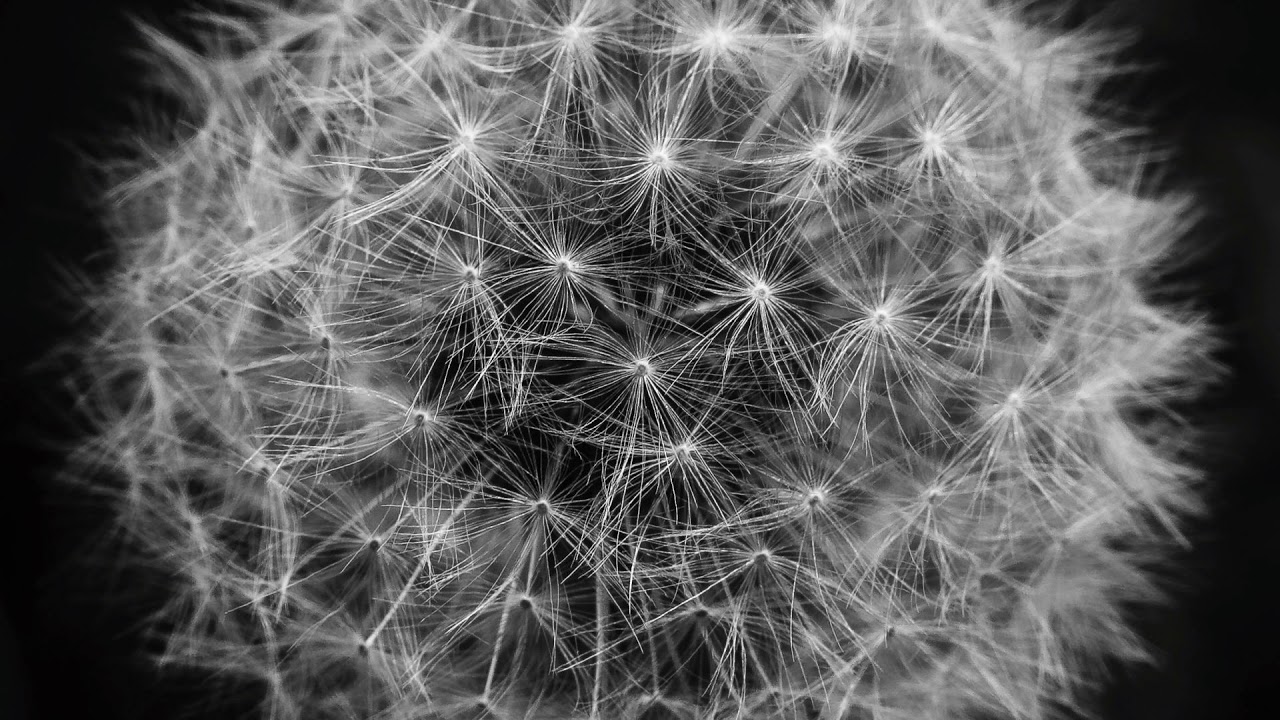 Guy Mantzur & Dave Seaman - K9 (Solee Remix) (127 BPM Version) 432Hz HQ