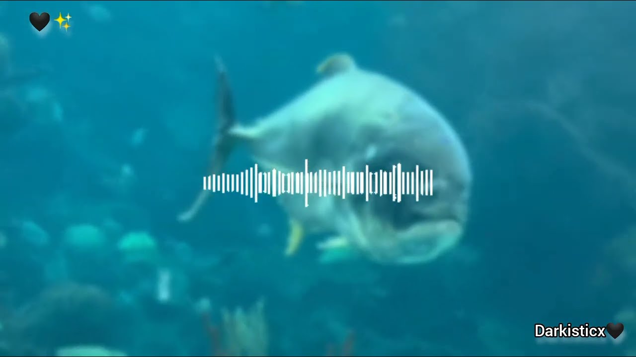 lofi soothing Mashup🥀|Best to listen for work and study✨