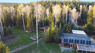 Off Grid Wilderness Homestead Pays BIG DIVIDENDS by Gridlessness 19,893 views 2 days ago 22 minutes