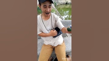 Anh chàng bắt ốc bưu vàng #Shorts