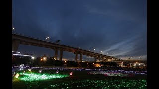 20180510 板橋蝴蝶公園縮時攝影