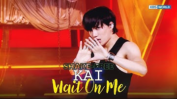 [SHAKE-FREE] Wait On Me - KAI 카이 (EXO) | KBS WORLD TV 250425