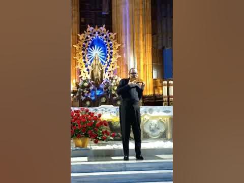DNA EMEL SEÇEN ST.ANTUAN NICOLAE VOICULET EDUARD ANTAL VEFATININ 300