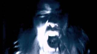 Blunt Trauma - Old School Paranoia