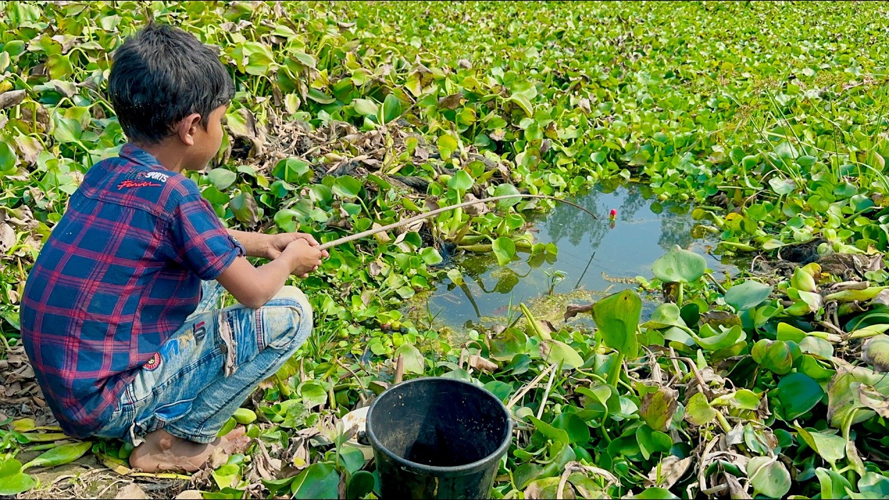 fishing video 2026 ✅|Little Boy hunting big koi fish by fish hook From beautiful nature🥰🥰(Part-714)