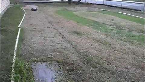 SC10 Custom (Project Desert Dually)