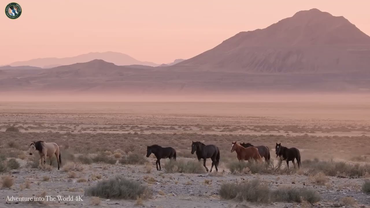 The land of beautiful brave honest and hardworking people mean Afghanistan 