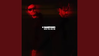 Now You See Me - Immersed