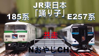 共走 JR東日本 旧車「踊り子」185系200番台「踊り子」7両〈KATO 10-1442〉 E257系2500番台 5両〈KATO 10-1614〉 Nゲージ