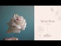 Spray rose tutorial (Gumpaste / Flower Paste)