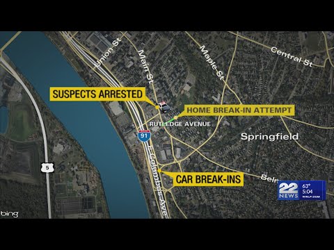Two juveniles arrested in Springfield break-in spree