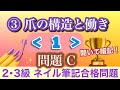 音声♪③爪の構造と働き≪１≫問題C