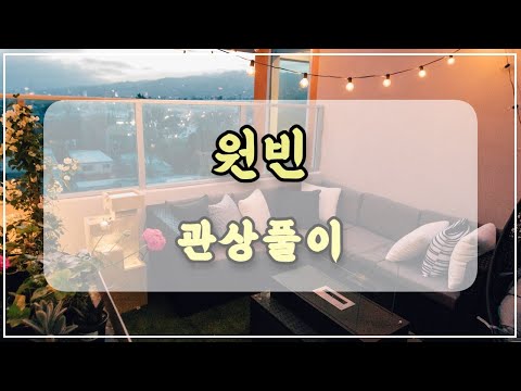 관상과학 원빈 관상 「백수의 왕 사자인가? 인간인가?」
