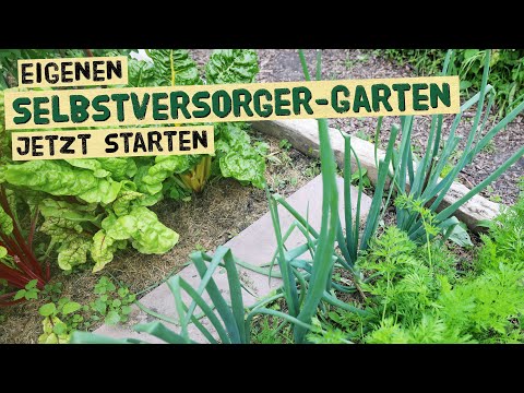 Video: Ernte für Anfänger: Gartenernte für erstmalige Gärtner