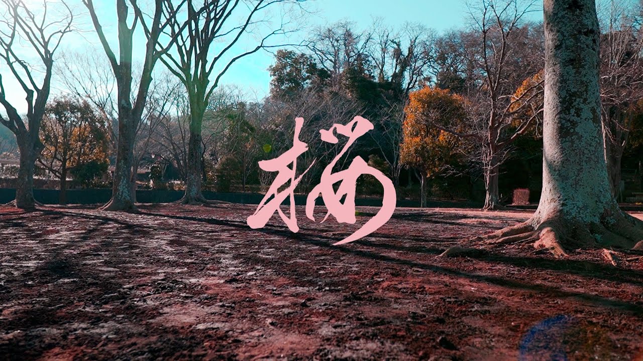 まっきぃとユメ　桜づくし 河津桜にメジロ 常滑市北条公園