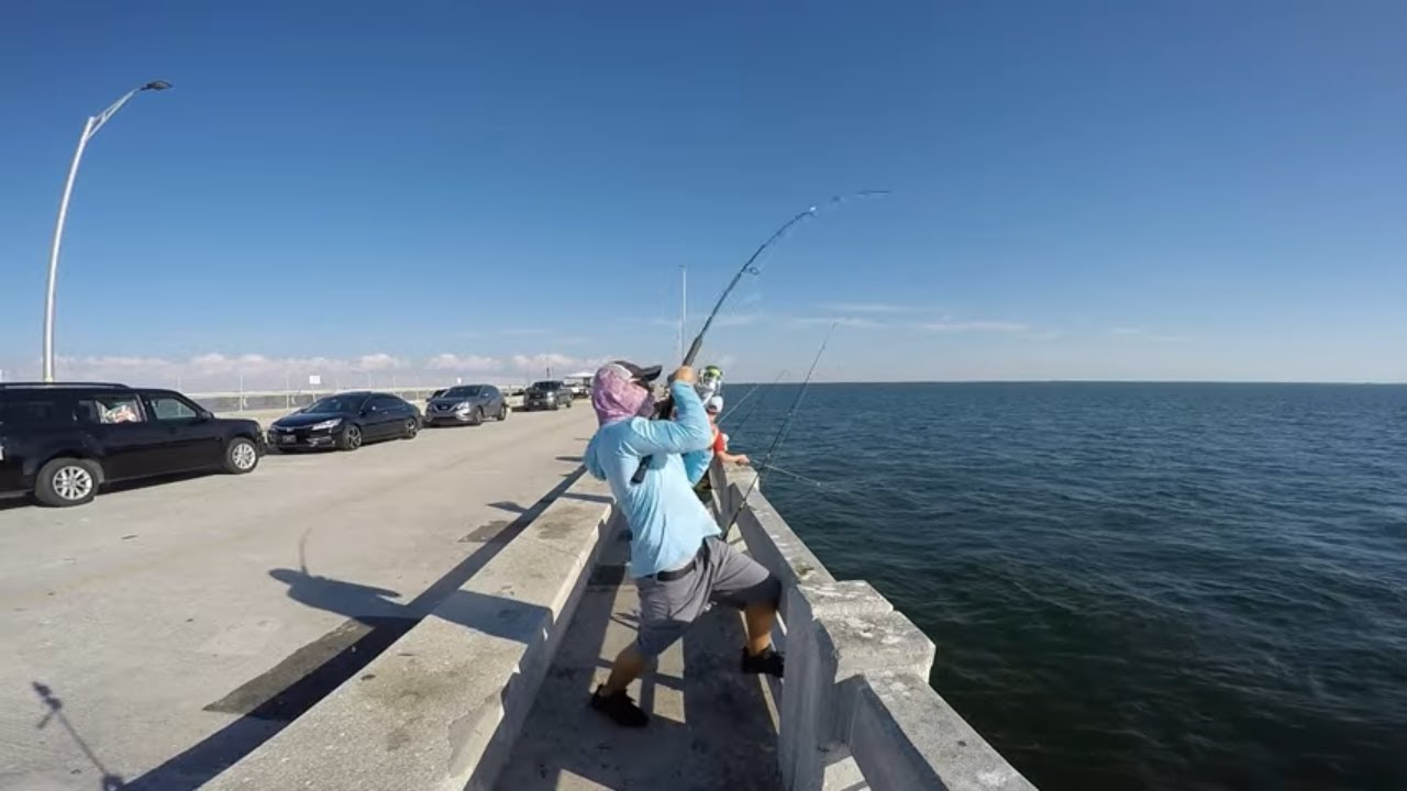 Skyway Fishing Pier Surprise Catch YouTube