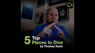 Deaf Ecosystem Spotlight - Aqua Hands - Convo
