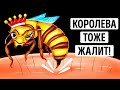 Почему укус королевы пчел может быть более опасным? Будьте бдительны!