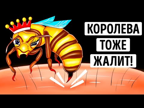 Почему укус королевы пчел может быть более опасным? Будьте бдительны!