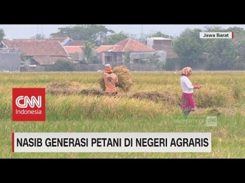 Video: Menyelundupkan Burung Melintasi Perbatasan – Petualangan Di Pertanian Pemerintah