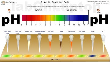NCERT Class 10th Activity 2.11 | Acids Bases & Salts | pH Value of Given Solutions | labOnLaptop