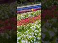 #viral#trendingsong  | Relaxing Footsteps 🌧️👠Monsoon Park Walk in Heels | Calm Rain Ambience 🌿